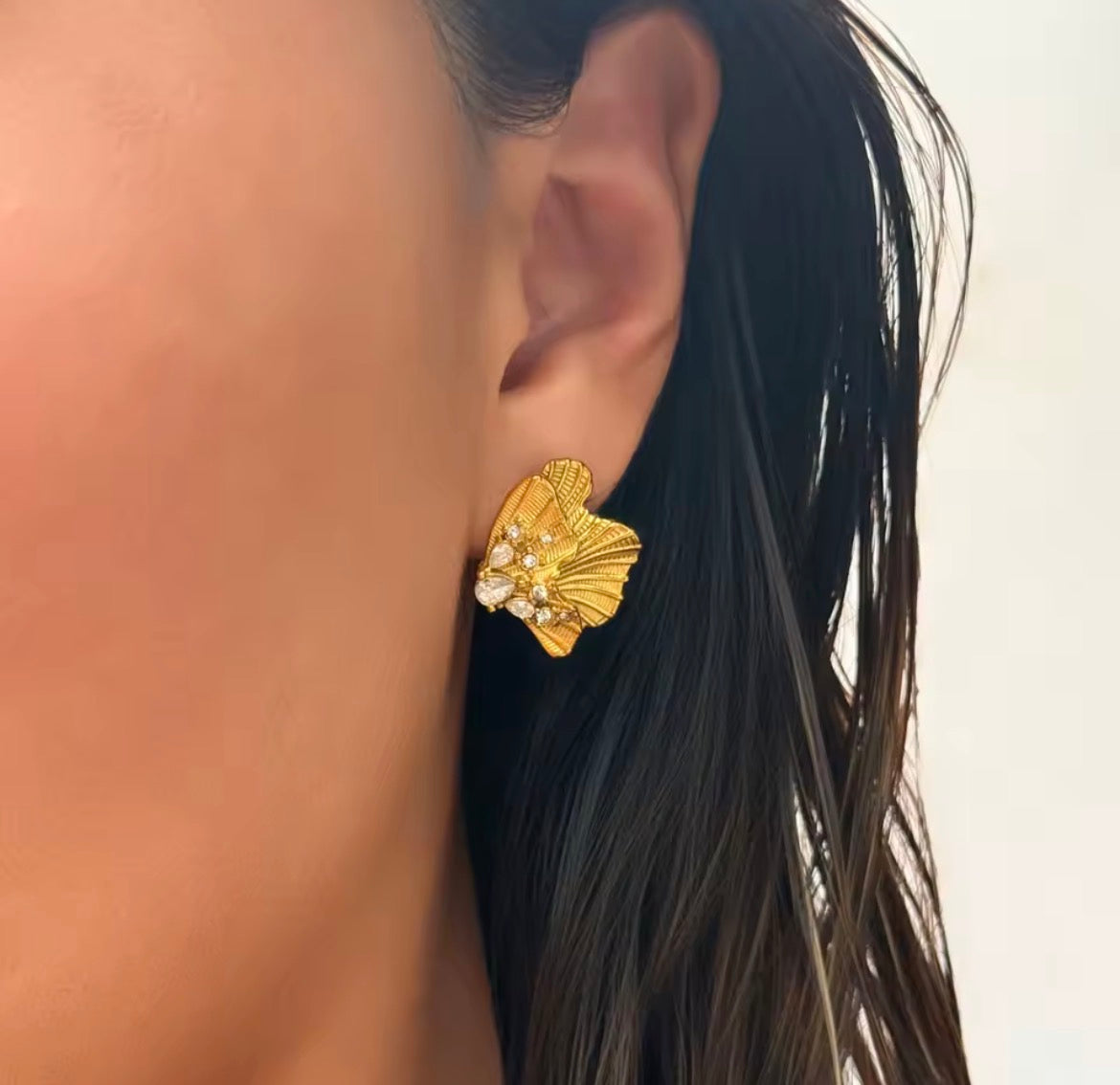 Aretes Florales en Forma de Alas con Zirconia hipoalergenicos waterproof
- Richesse accesorios6557-2