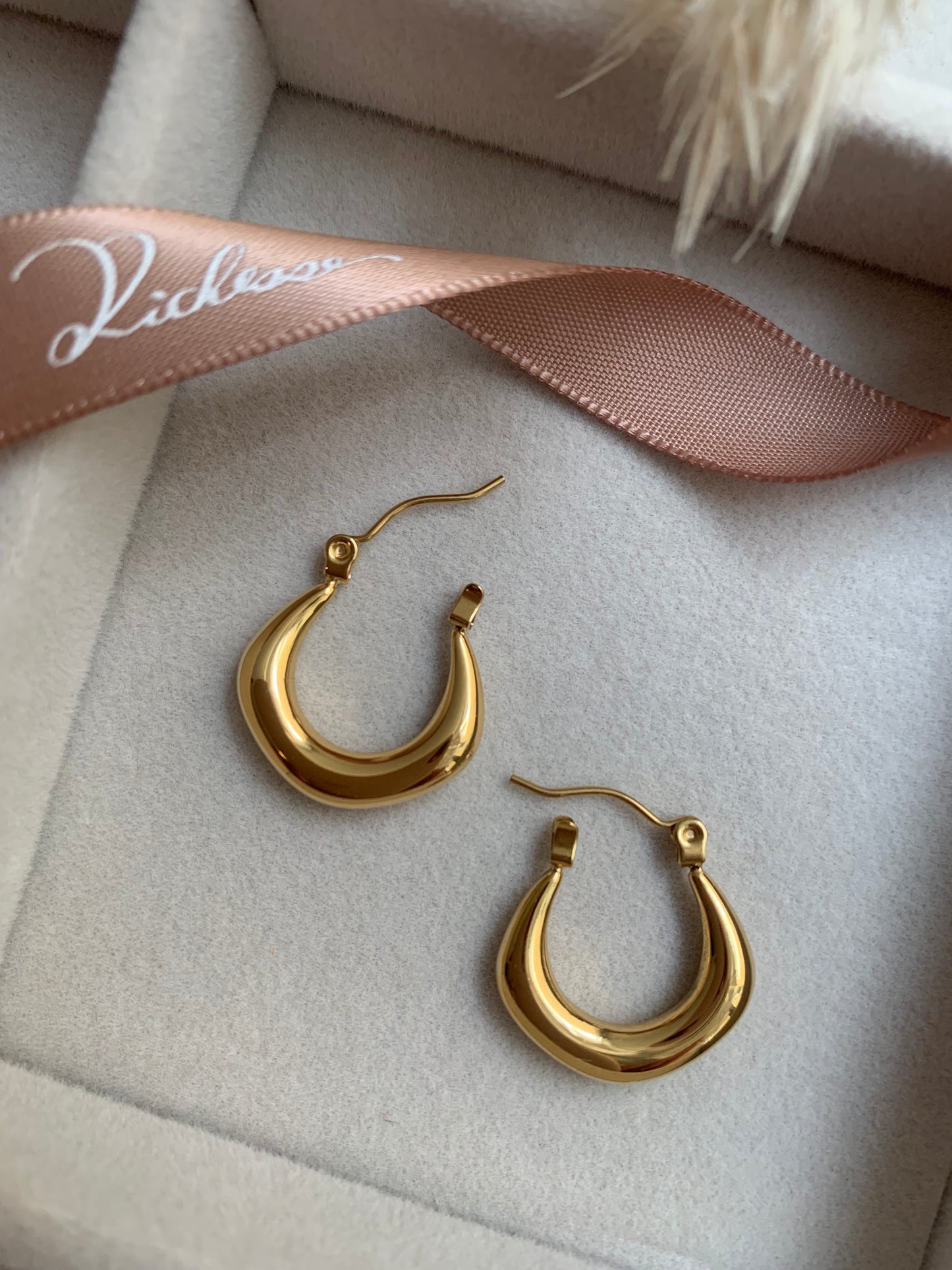 Hoops earrings （S) - Richesse accesorios