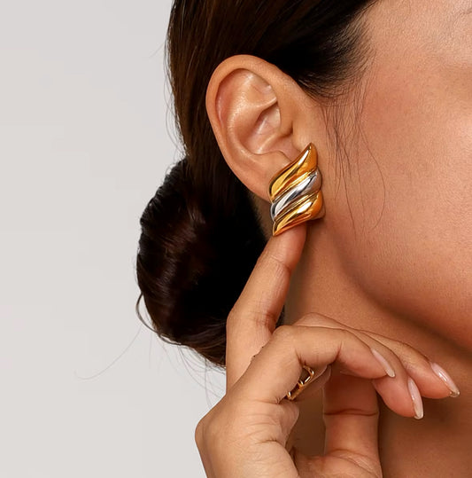 Aretes Bicolor Alas de Ángel - Richesse Jewels