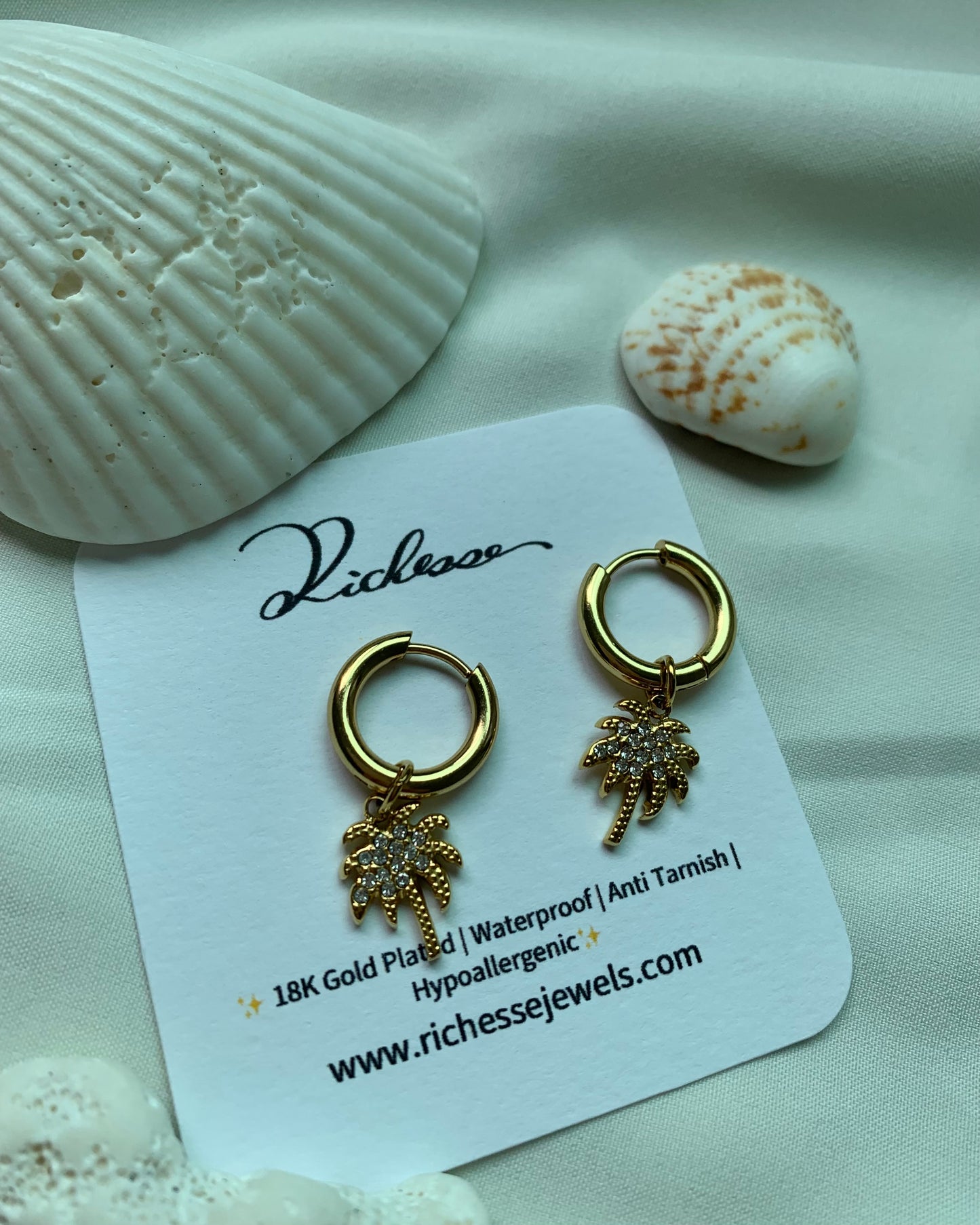 Aretes Hoops Palma Brillante - Richesse Jewels