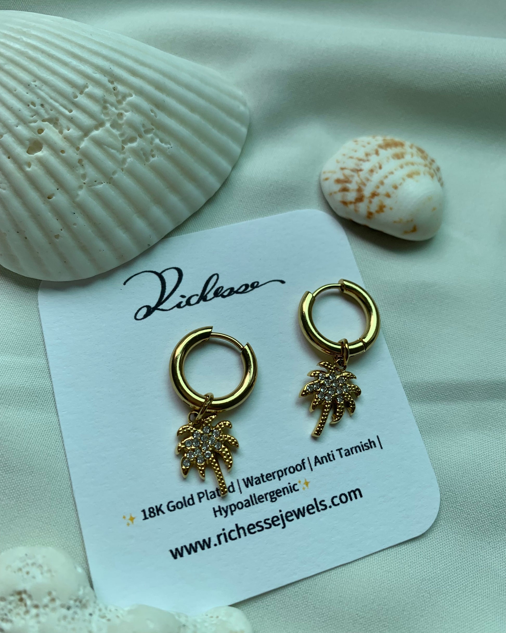 Aretes Hoops Palma Brillante - Richesse accesorios