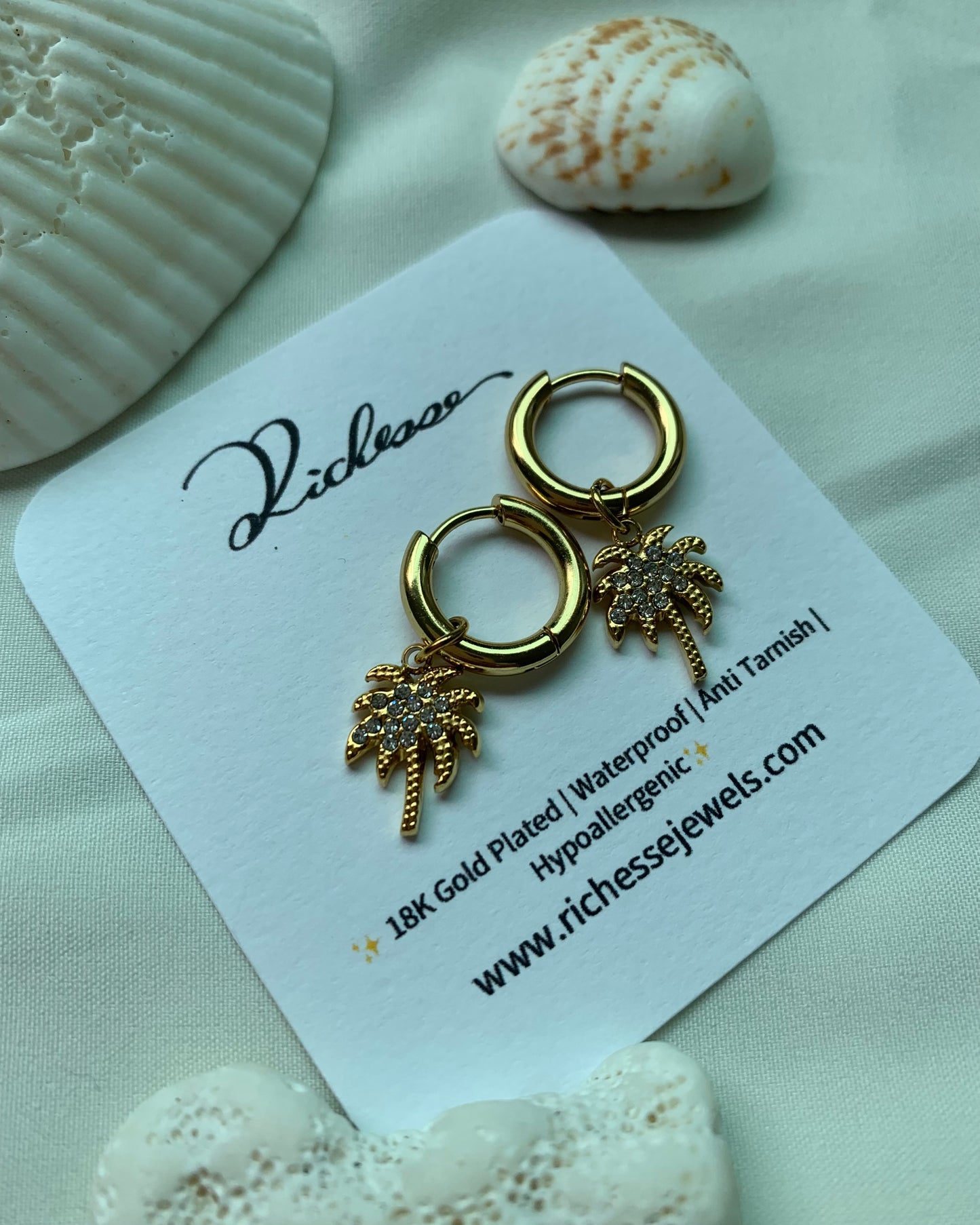 Aretes Hoops Palma Brillante - Richesse accesorios