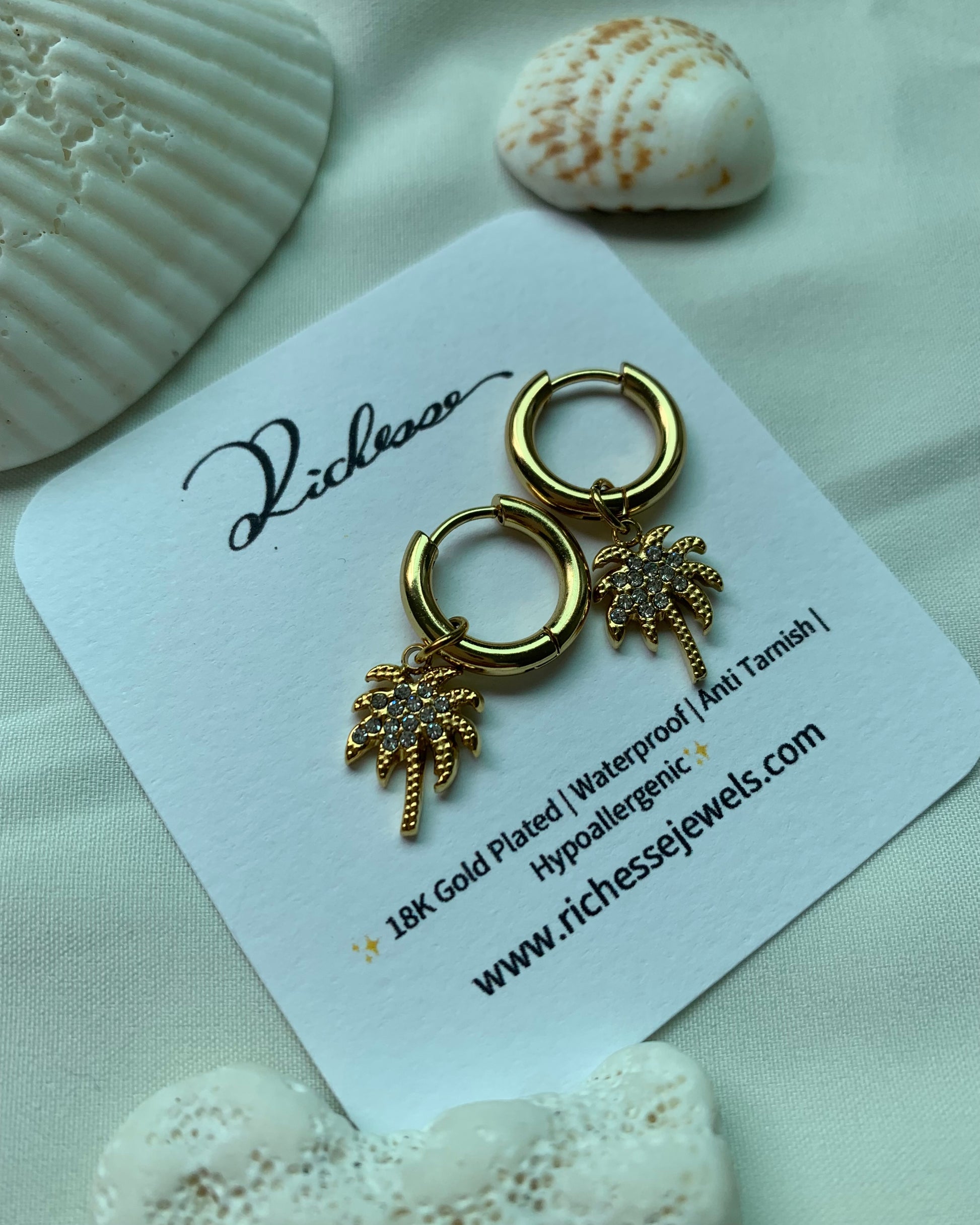 Aretes Hoops Palma Brillante - Richesse accesorios