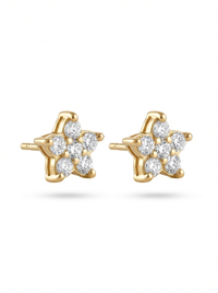 Aretes de Circonia Fina (Par)