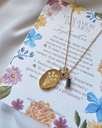 Flor de Nacimiento: Aster (Septiembre)9