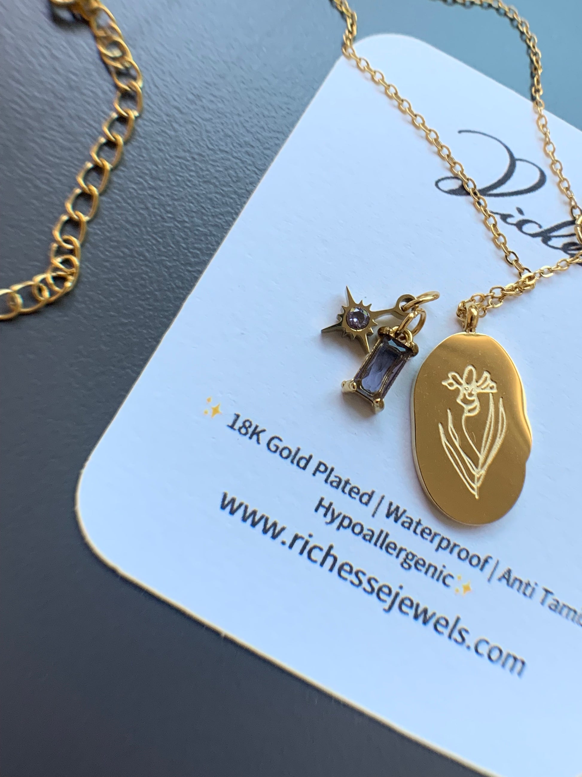 Flor y piedra de nacimiento de febrero 2 - Richesse Jewels