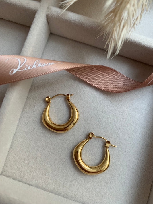 Hoops earrings （S) - Richesse Jewels